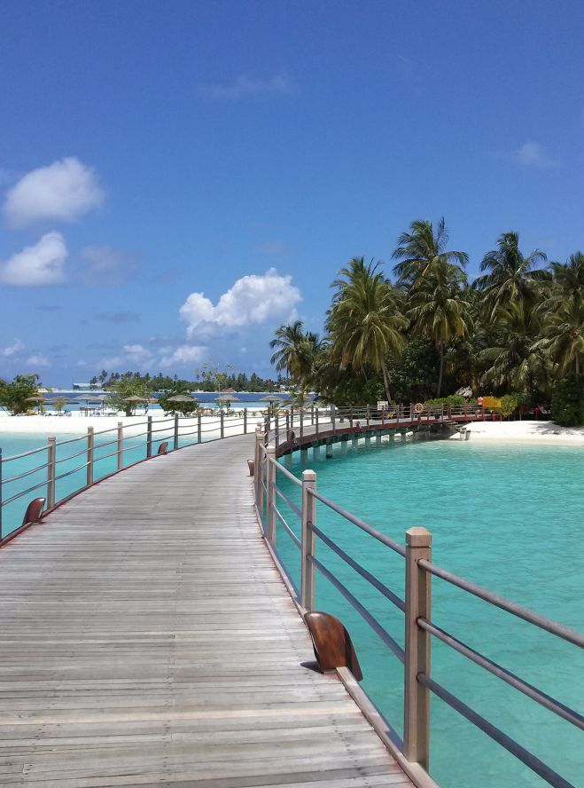 【メンタルトレーニング体験】