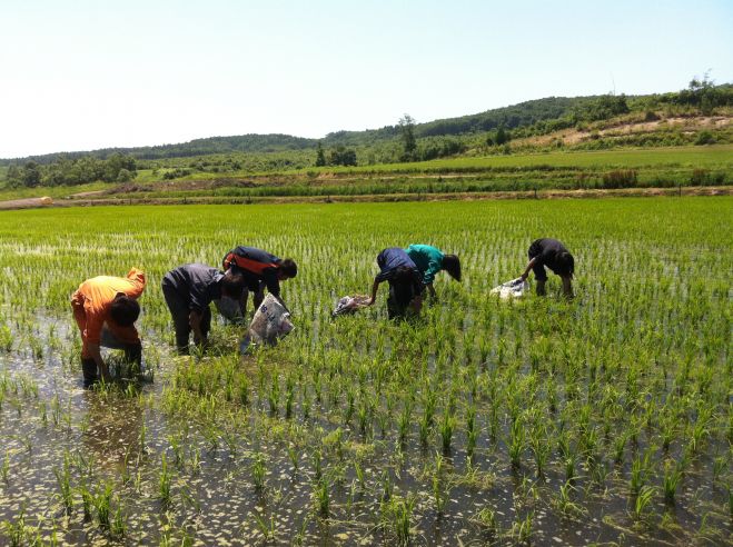 「田舎で農業しよう」 20～40歳ぐらいまでの男女