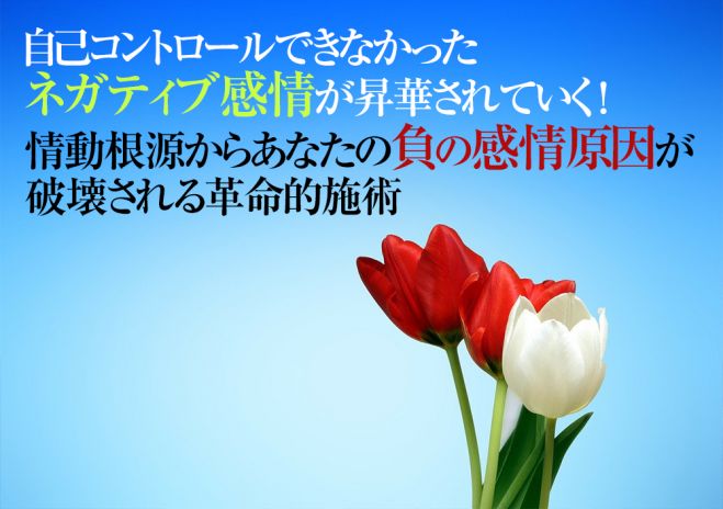 負の感情コントロール方法 何をやっても浄化処理できない負の感情を捨てる方法 負の感情をなくす 21年8月8日 22年5月29日 東京 大阪 負の感情に負けない力獲得 東京都 こくちーずプロ