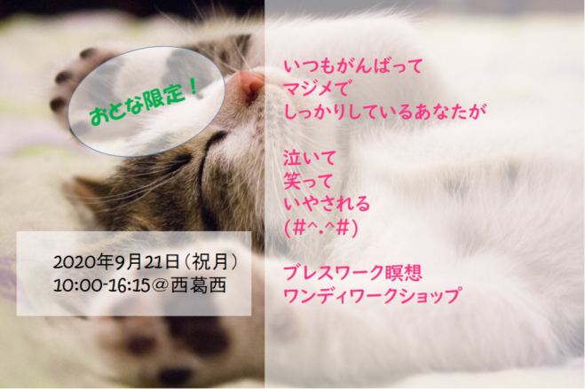 9 21 対面 いつもがんばって マジメで しっかりしているあなたが 泣いて 笑って いやされるブレスワーク瞑想 西葛西 もうがんばるのやめにしませんか 年9月21日 東京都 こくちーずプロ