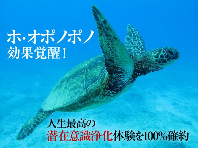 ホオポノポノから最大浄化効果を引き出す 潜在意識をホオポノポノ覚醒瞑想でクリーニング お金 恋愛 仕事を浄化クリーニング 22年3月26日 22年9月25日 東京 大阪 ホオポノポノ実践浄化効果 東京都 こくちーずプロ