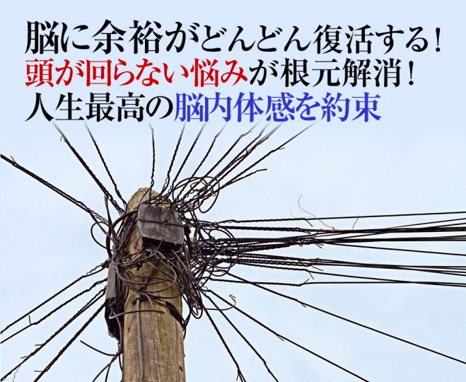 2023年11月12日〜2024年4月28日【東京大阪　仕事ができない・頭が回らない」悩みを改善!　ストレスで頭が働かない改善】（東京都）　瞬時に脳を覚醒させる究極セッション(頭が働かない…)　こくちーずプロ