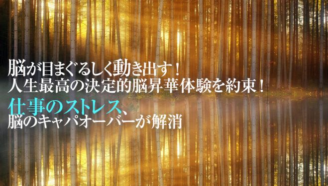 仕事ストレスによる思考停止改善方法 キャパオーバーによる思考停止で仕事ができない悩みが劇的改善 瞬間脳覚醒術 22年2月12日 22年5月29日 東京 大阪 仕事できない思考停止ストレス 東京都 こくちーずプロ