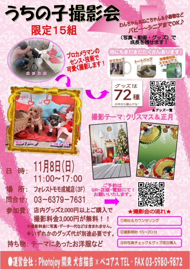 うちの子 写真 動画 撮影会フォレストモモ成城店 Photojoy 関東 年11月8日 東京都 こくちーずプロ うちの子 写真 動画 撮影会フォレストモモ成城店 Photojoy 関東 年11月8日 東京都 こくちーずプロ