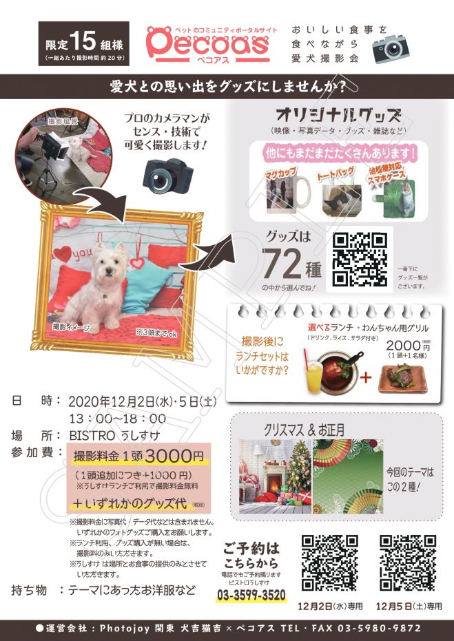 うちの子 写真 動画 撮影会bistro うしすけ Photojoy 関東 年12月5日 東京都 こくちーずプロ