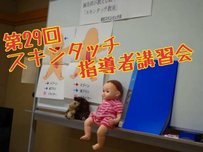 第29回 東京スキンタッチ会 指導者講習会 新規入会 年11月3日 オンライン Zoom こくちーずプロ