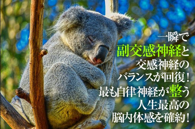 副交感神経高める方法 人生最高の副交感神経リラックス状態への誘導確約 アセチルコリン 神経伝達ホルモン分泌 画期的な脳内セッション 21年8月7日 22年5月29日 東京 大阪 副交感神経ホルモンリラックス 東京都 こくちーずプロ 副交感神経高める方法 人生最高の副交感神経リラックス状態への誘導確約 アセチルコリン 神経伝達ホルモン分泌 画期的な脳内セッション 21年8月7日 22年5月29日 東京 大阪 副交感神経ホルモンリラックス 東京都 こくちーずプロ