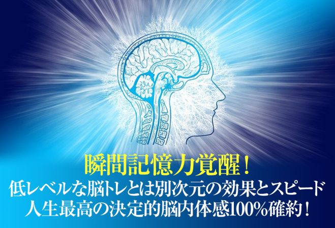 革命的な瞬間記憶・映像記憶・写真記憶トレーニング】脳トレや瞬間記憶訓練では身につかない写真記憶・映像記憶能力が劇的に身につく! 天才の脳に覚醒する!  2023年11月12日〜2024年6月30日【東京大阪 瞬間記憶能力を鍛える】（東京都） こくちーずプロ