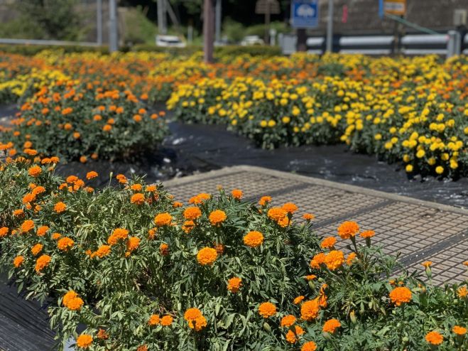 人生の目的は 幸せになること ブッダが教える2種類の幸せとは 年11月27日 愛知県 こくちーずプロ