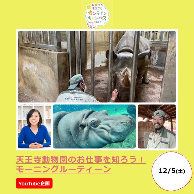 ライブ配信 Youtube Live の学ぶ 子供向け 親子 セミナー 勉強会 イベント こくちーずプロ