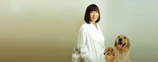 犬猫』セミナー・勉強会・イベント - こくちーずプロ