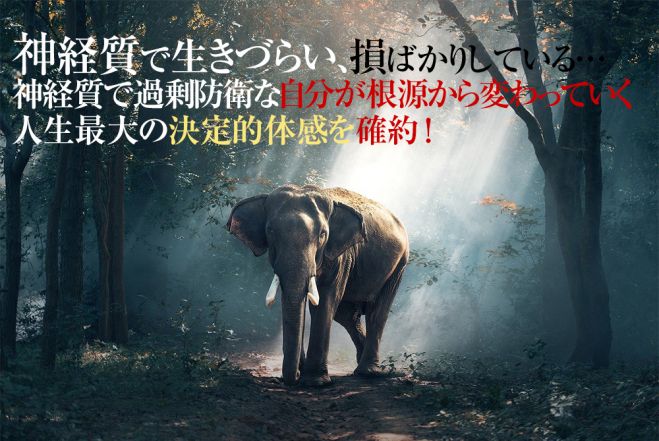 革新的な神経質の治し方 神経質な性格改善方法 神経質を治したいのに治すことができなかった人でも根源から改善 神経質治す方法 21年4月17日 21年12月26日 東京 大阪 神経質改善と治し方 東京都 こくちーずプロ