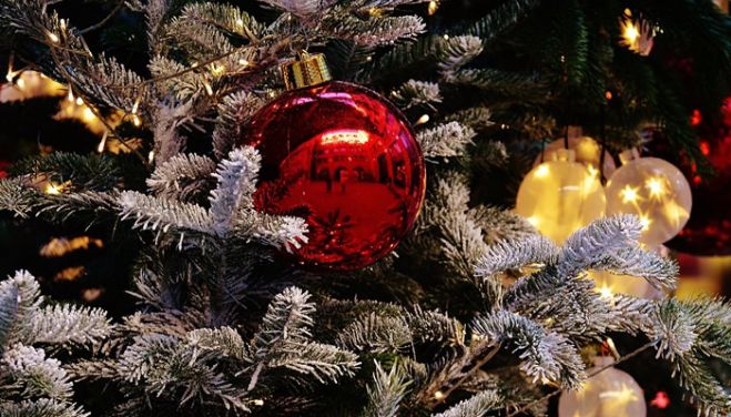 世界のクリスマス アメリカ編 2020年12月24日 オンライン Zoom こくちーずプロ