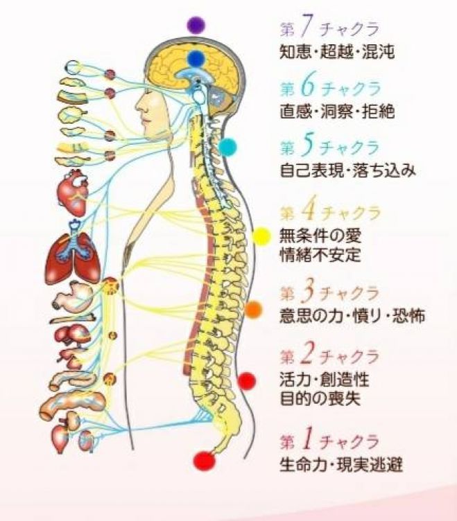 大阪 天王寺 脊椎から癒すアロマヒーリング 21年1月5日 21年1月31日 大阪府 こくちーずプロ
