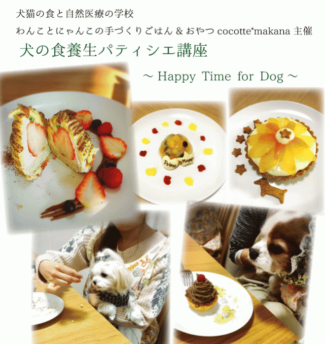 犬の食養生パティシエインストラクター講座 横浜開催 21年1月29日 神奈川県 こくちーずプロ 犬の食養生パティシエインストラクター講座 横浜開催 21年1月29日 神奈川県 こくちーずプロ