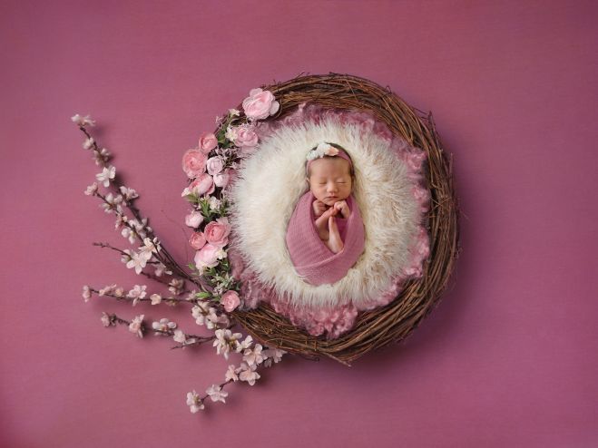 スリーピングニューボーン フォトアカデミー 初級 中級 上級 マスター 21年1月27日 東京都 こくちーずプロ スリーピングニューボーン フォトアカデミー 初級 中級 上級 マスター 21年1月27日 東京都 こくちーずプロ