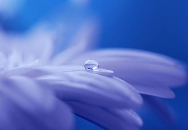 やる気が出ない 無気力で動けない時 スピリチュアル覚醒 やる気が出ない無気力が解決するスピリチュアル人生最高の決定的体感確約 22年2月12日 22年5月29日 東京 大阪 無気力から急にやる気が出る 東京都 こくちーずプロ