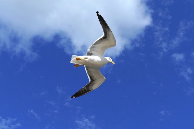 固定概念にとらわれる 固定観念を捨てる 固定概念を捨てる人生最高の決定的脳昇華体感を確約 先入観にとらわれる 21年5月7日 22年2月27日 東京 大阪 固定概念固定観念を捨てる方法 東京都 こくちーずプロ