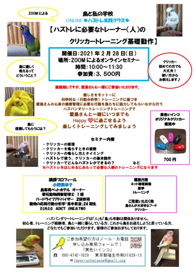 ハズトレ実践クラス ハズトレに必要なトレーナー 人 のクリッカートレーニング基礎動作 オンライン 21年2月28日 こくちーずプロ ハズトレ実践クラス ハズトレに必要なトレーナー 人 のクリッカートレーニング基礎動作 オンライン 21年2月28日 こくちーずプロ