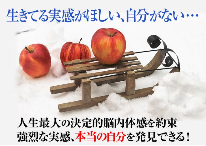 生きてる感じがしない、生きてる実感がほしい】生きてる気がしない感覚が解消する人生で最も決定的な脳昇華状態を確約!　こくちーずプロ　2023年12月17日〜2024年7月28日【東京大阪　人生を生きてる実感がほしい】（東京都）