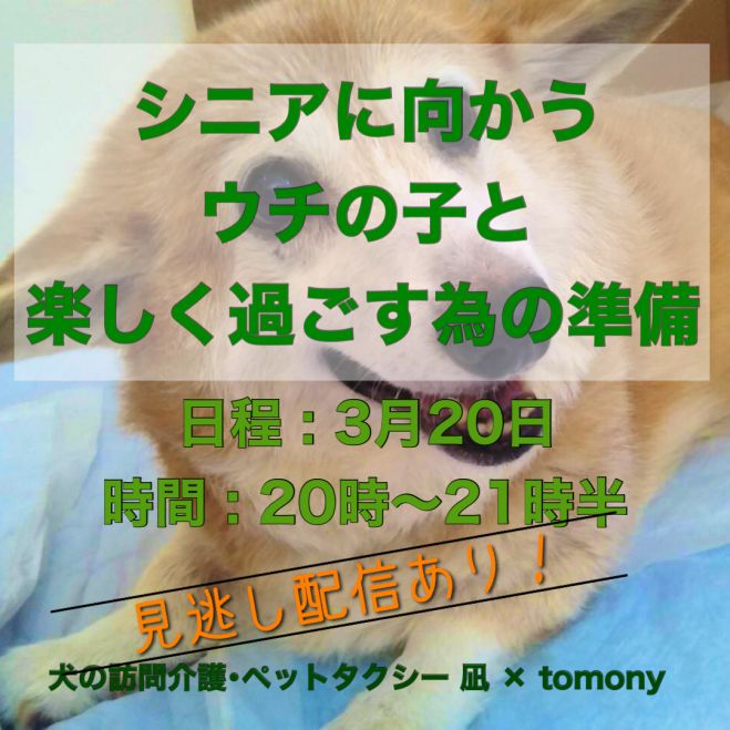 犬イベント特集 こくちーずプロ 犬イベント特集 こくちーずプロ