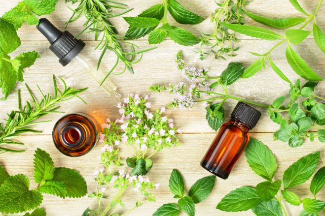 無料 オープンキャンパス 薬剤師が教えるメディカルアロマ基礎 アロマを仕事にするオンライン講座 21年3月13日 オンライン Zoom こくちーずプロ 無料 オープンキャンパス 薬剤師が教えるメディカルアロマ基礎 アロマを仕事にするオンライン講座 21年3月13日 オンライン Zoom こくちーずプロ