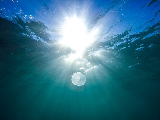 無意識コントロール 潜在意識コントロール方法 世界最高評価の潜在意識コントロール法 一瞬で潜在意識から思考を変える 21年8月7日 22年5月29日 東京 大阪 潜在意識コントロールの決定版 東京都 こくちーずプロ 無意識コントロール 潜在意識コントロール方法 世界最高評価の潜在意識コントロール法 一瞬で潜在意識から思考を変える 21年8月7日 22年5月29日 東京 大阪 潜在意識コントロールの決定版 東京都 こくちーずプロ