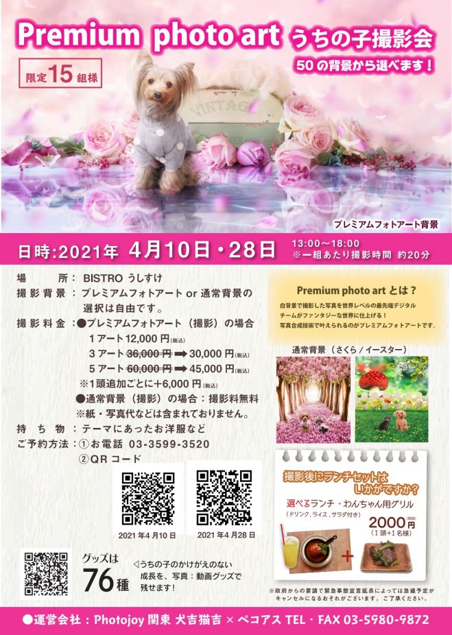 うちの子 写真 動画 撮影会bistro うしすけ Photojoy 関東 21年4月10日 東京都 こくちーずプロ