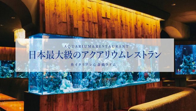 3 13 土 大阪パーティーイベント幻想的なアクアリウム空間 一万匹の熱帯魚がお出迎え 心斎橋ライム交流企画 21年3月13日 大阪府 こくちーずプロ