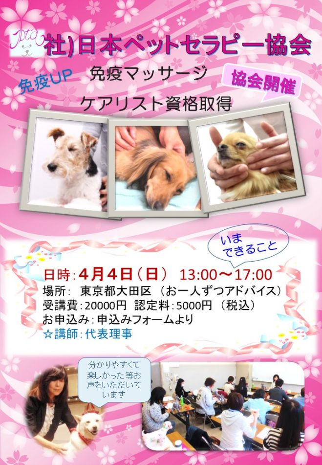 犬猫 免疫マッサージ資格取得セミナー 2021年4月4日 東京都 こくちーずプロ