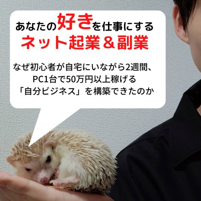 顔出しなしでできる 一人起業家プロジェクト 未経験から月50万円以上の 自分ビジネス を構築 超実践型 1dayコンプリートセミナー 21年3月17日 オンライン Zoom こくちーずプロ