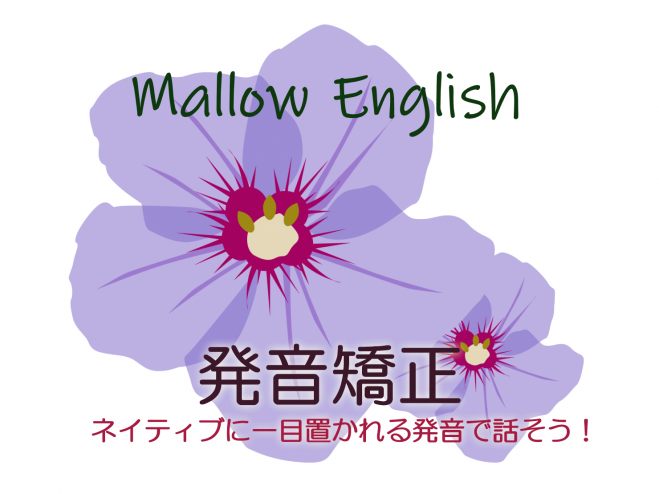 Mallow English 英語発音練習体験コース 大学生 社会人 21年4月23日 オンライン Zoom こくちーずプロ