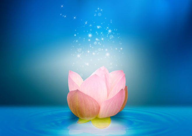 東京都の オーラ セミナー 勉強会 イベント こくちーずプロ