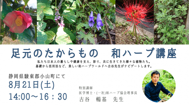 足元のたからもの 和ハーブ講座 21年8月21日 静岡県 こくちーずプロ 足元のたからもの 和ハーブ講座 21年8月21日 静岡県 こくちーずプロ