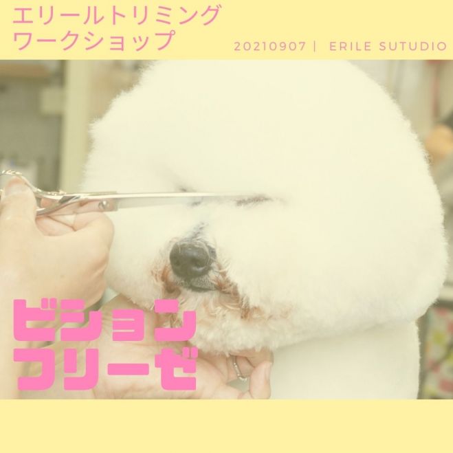 東京都の学ぶ ペット セミナー 勉強会 イベント こくちーずプロ