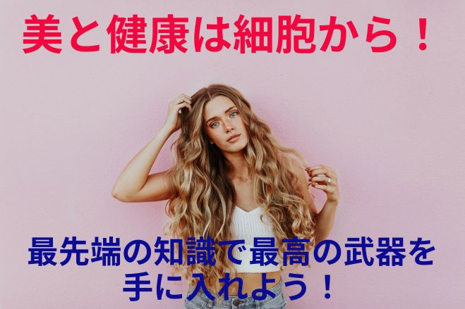 体幹 セミナー 勉強会 イベント こくちーずプロ