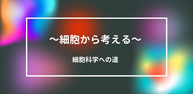 人生再スタートをきる 知識を身に着けて次のステージに行きませんか 21年6月26日 オンライン こくちーずプロ 人生再スタートをきる 知識を身に着けて次のステージに行きませんか 21年6月26日 オンライン こくちーずプロ