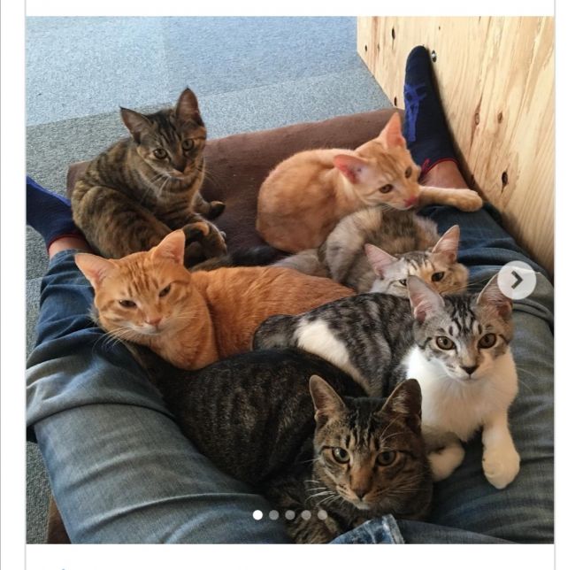 三重県の人脈 婚活 街コン セミナー 勉強会 イベント こくちーずプロ