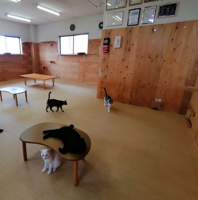 三重県の人脈 婚活 街コン セミナー 勉強会 イベント こくちーずプロ 三重県の人脈 婚活 街コン セミナー 勉強会 イベント こくちーずプロ