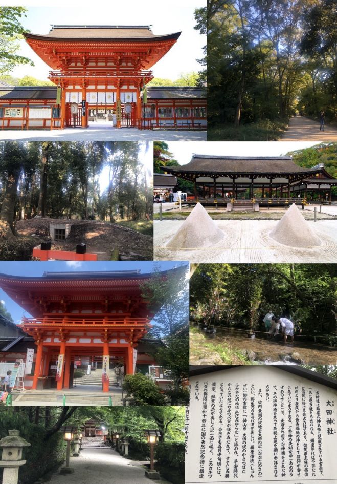 神吉日に行く 京都下鴨神社 上賀茂神社 太田神社リトリート 21年8月5日 京都府 こくちーずプロ