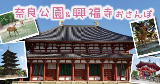 30代40代 お寺や神社が好きな男女集まれ 奈良で縁結び婚活パーティー 21年9月26日 奈良県 こくちーずプロ