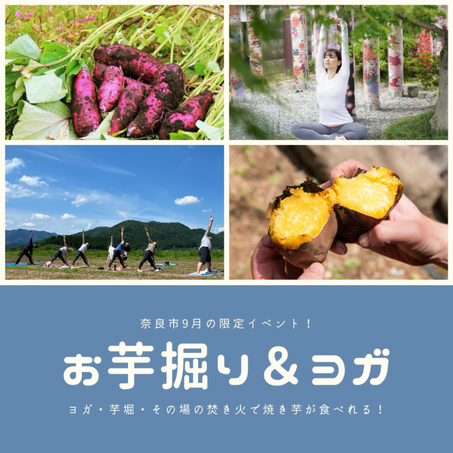 お芋掘りとヨガをしよう 21年9月26日 21年9月29日 奈良県 こくちーずプロ