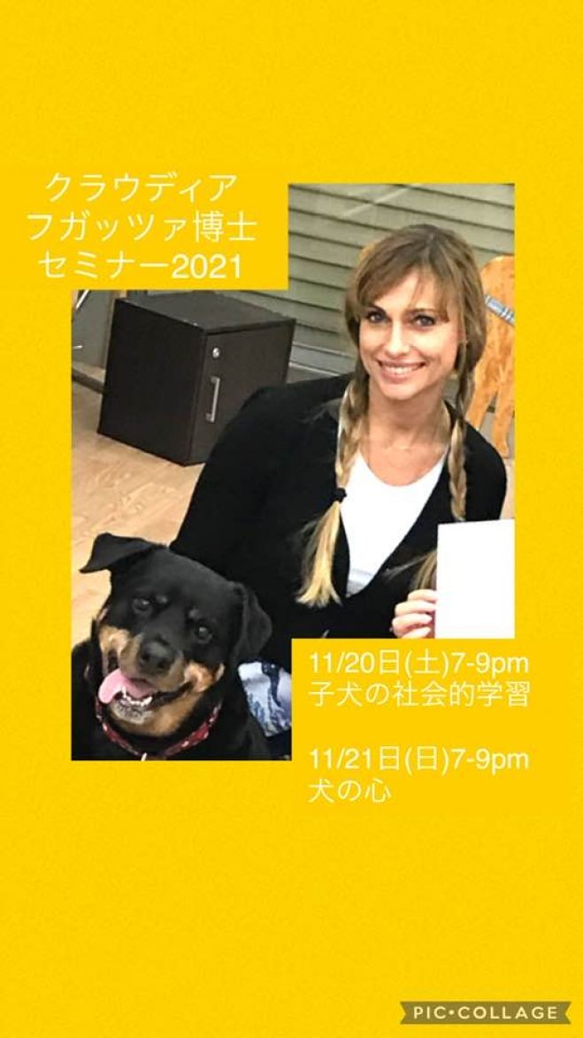 愛知県犬イベント特集 こくちーずプロ 愛知県犬イベント特集 こくちーずプロ