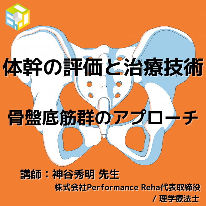 骨盤底筋群 セミナー 勉強会 イベント こくちーずプロ