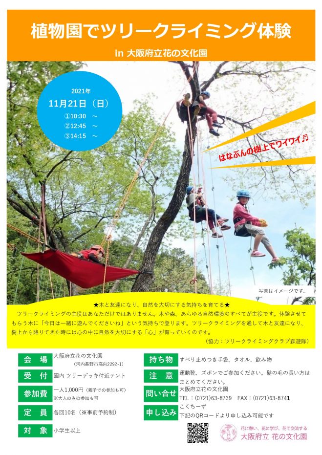 植物園でツリークライミング体験in花の文化園 21年11月21日 大阪府 こくちーずプロ