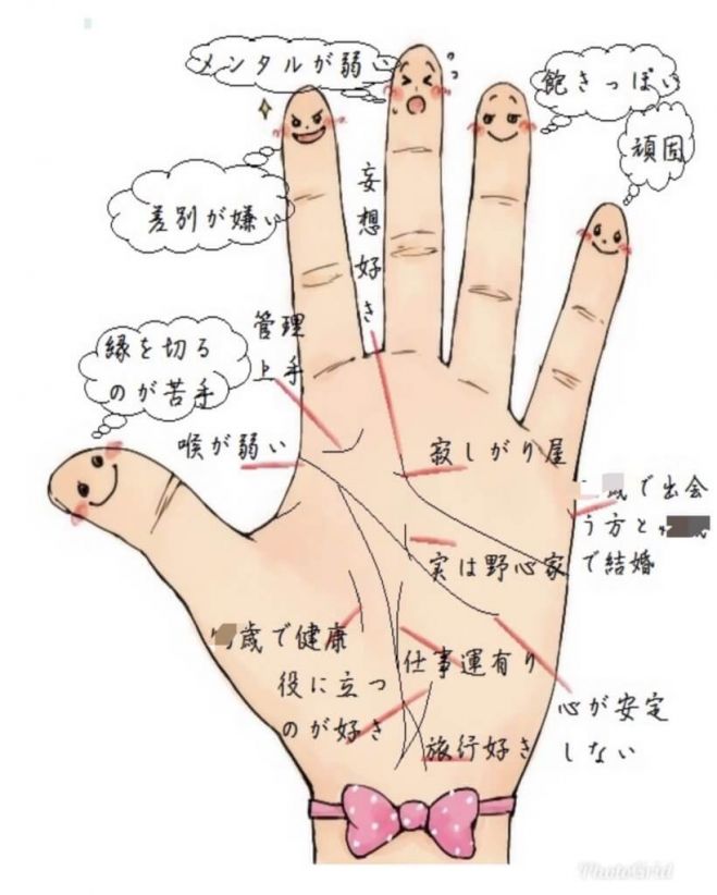 暗記なしok 35歳以上から人気者になる 実践手相入門講座 21年11月日 オンライン Zoom こくちーずプロ