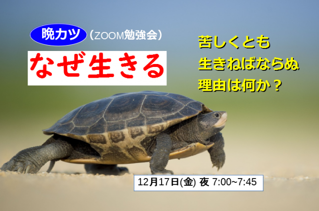 なぜ生きる 苦しくとも生きねばならぬ理由は何か 21年12月17日 オンライン Zoom こくちーずプロ