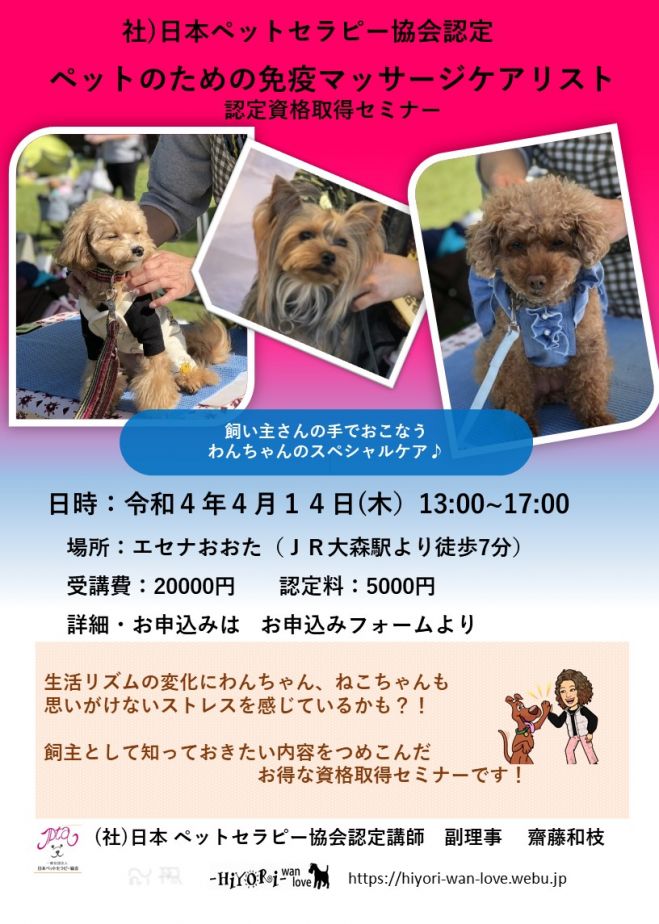 犬猫用次世代ペットフード 健康一番 ペットフード - 3
