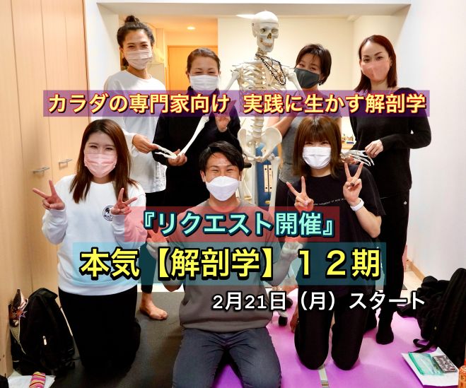 体幹トレーニング セミナー 勉強会 イベント こくちーずプロ