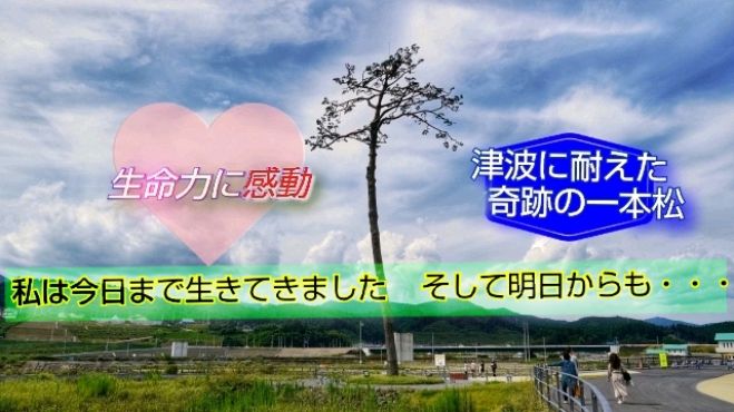 無料 今週のライブ配信 Facebook Live の学ぶセミナー 勉強会 イベント こくちーずプロ